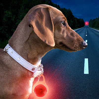 購入 白 青 緑 シリコン 閃く犬の首輪 タグ 花の犬の身元タグ オンライン製造