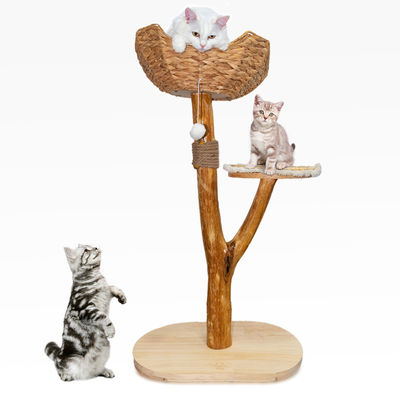 購入 猫の木 独特のデザイン 自然木 猫塔 簡単に登れる 小さな猫 オンライン製造