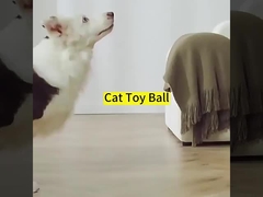 ペットABSシリコン素材 自転車犬訓練 屋内娯楽用の猫のおもちゃ