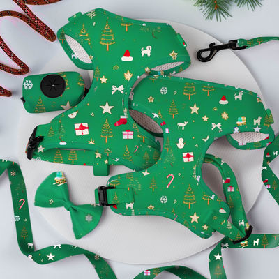 人気 カスタム パーソナライズド デザイナー 贅沢 引かない 調整可能な ネックレス ローネス ローネス バンドナ 逆転可能な犬用ハーネスセット