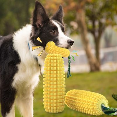 毒性のない鳴き叫ぶ犬用玩具 TPR 噛む玩具 攻撃的な噛む人向け