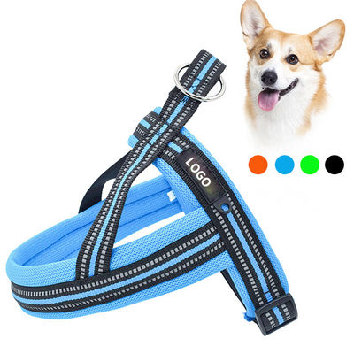 名前