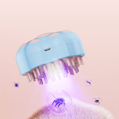 名前